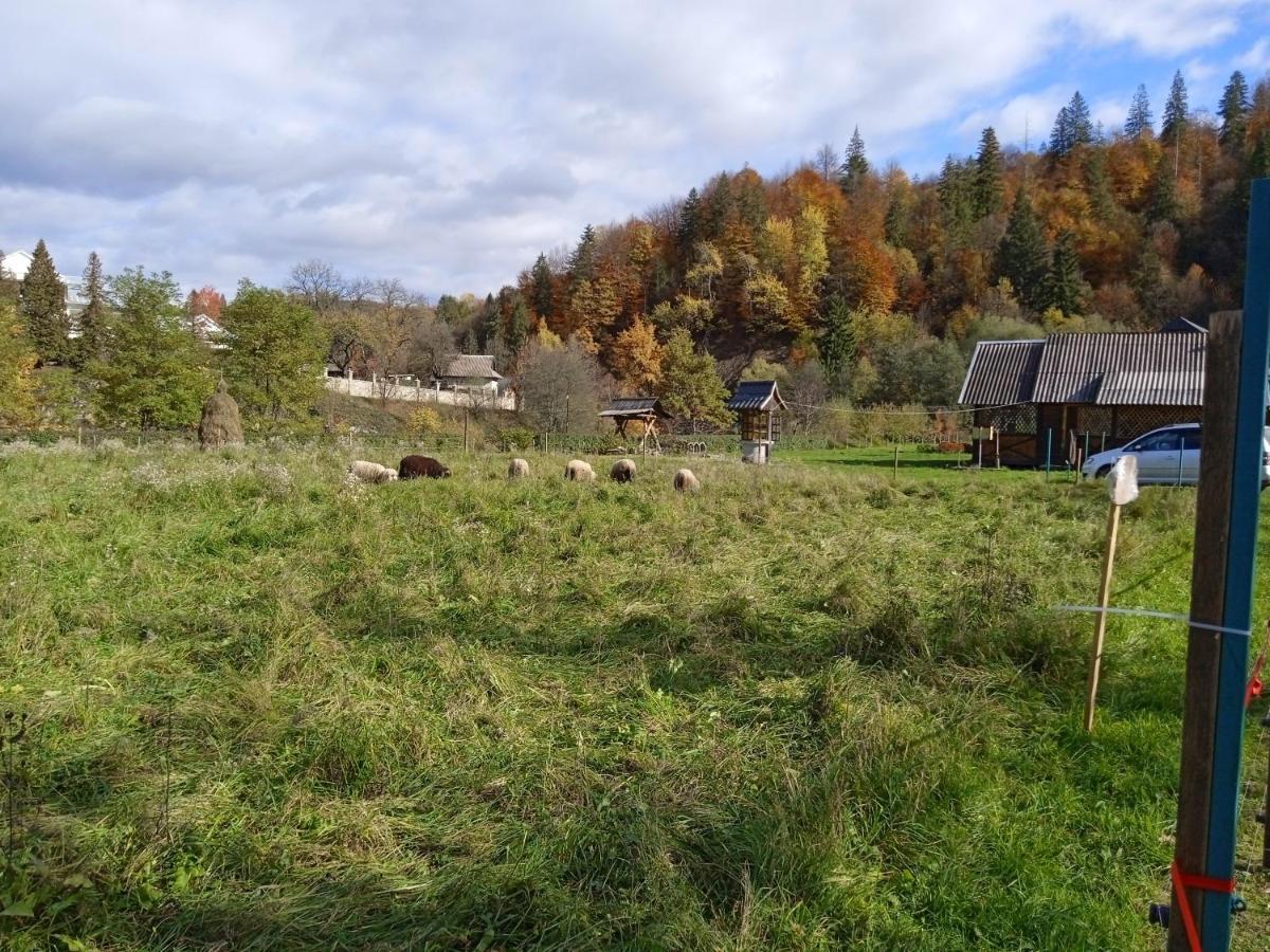 Садиба Федорчуків Гірська Хатина 1 舍绍里 外观 照片